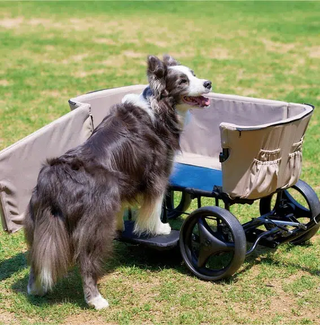 Ibiyaya Noah All Around Pet Beach Wagon up to 50kg - Pacific Blue - Henlo Pets