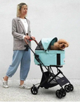 Ibiyaya 3-in-1 Travois Detachable Carrier Pet Stroller for Small to Medium Pets - Spearmint - Henlo Pets