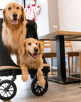 Ibiyaya Grand Cruiser Foldable Pet Stroller - Large Breeds, Elderly & Injured Pets - Henlo Pets