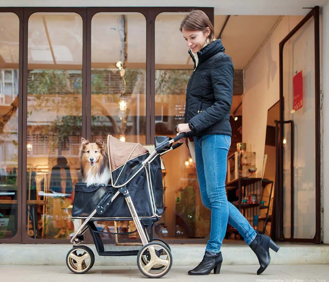 Ibiyaya Monarch Premium Aluminum Alloy Pet Stroller - Luxury Gold - Henlo Pets