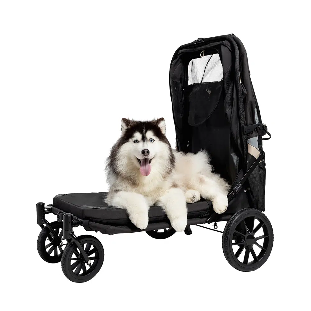 Ibiyaya Grand Cruiser Foldable Pet Stroller - Large Breeds, Elderly &amp; Injured Pets - Henlo Pets