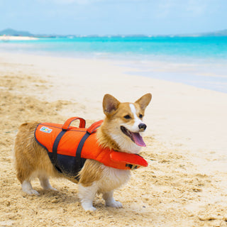 Outward Hound Life Jacket Orange - Henlo Pets