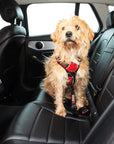 KONG Travel Seat Belt Tether for Dog - Henlo Pets