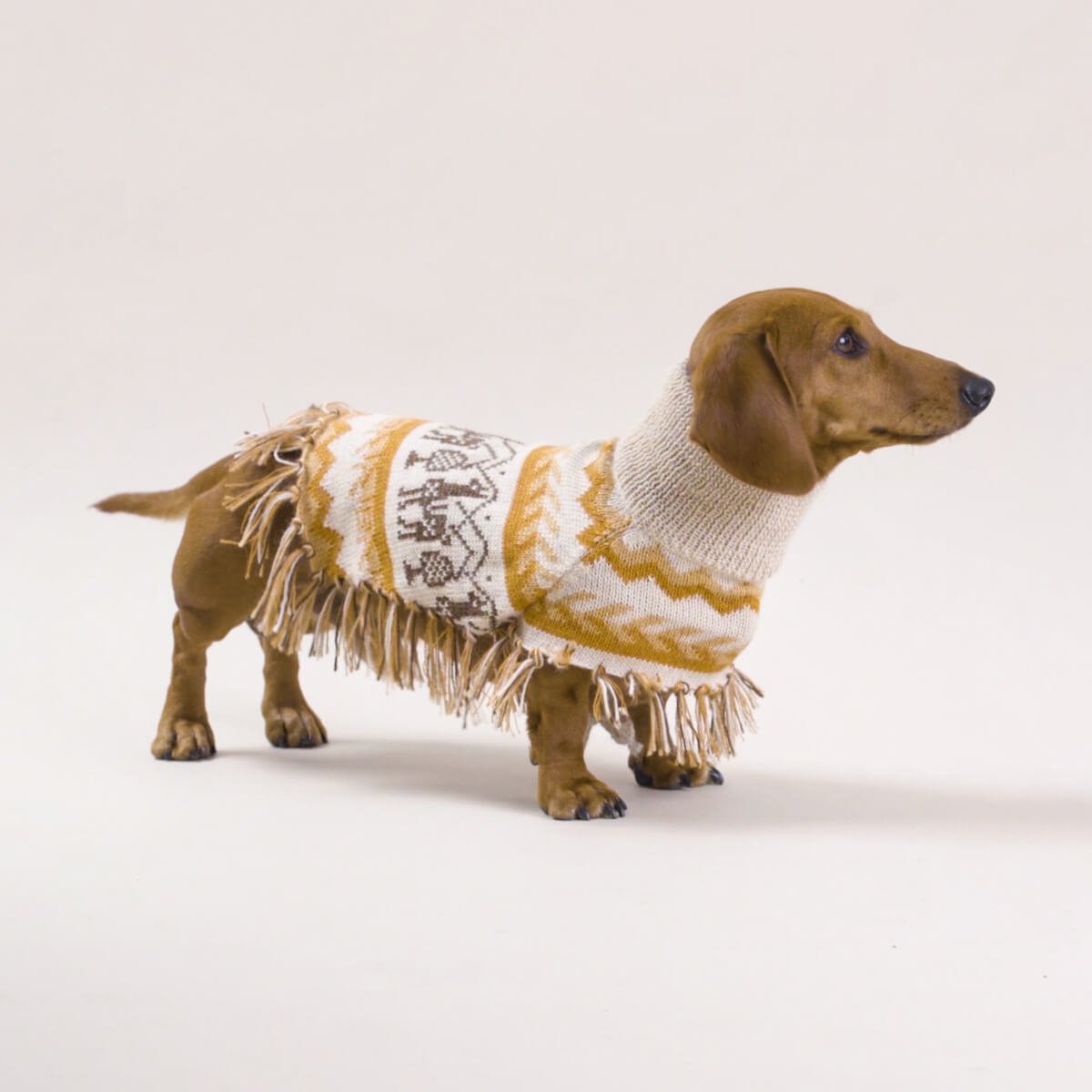 Alqo Wasi - Llama Natural Alpaca Dog Poncho - Henlo Pets