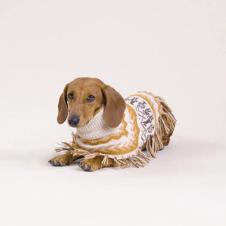 Alqo Wasi - Llama Natural Alpaca Dog Poncho - Henlo Pets