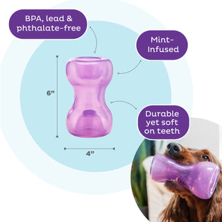 Outward Hound Double Snoop Interactive Treat Stuffer Dog Toy