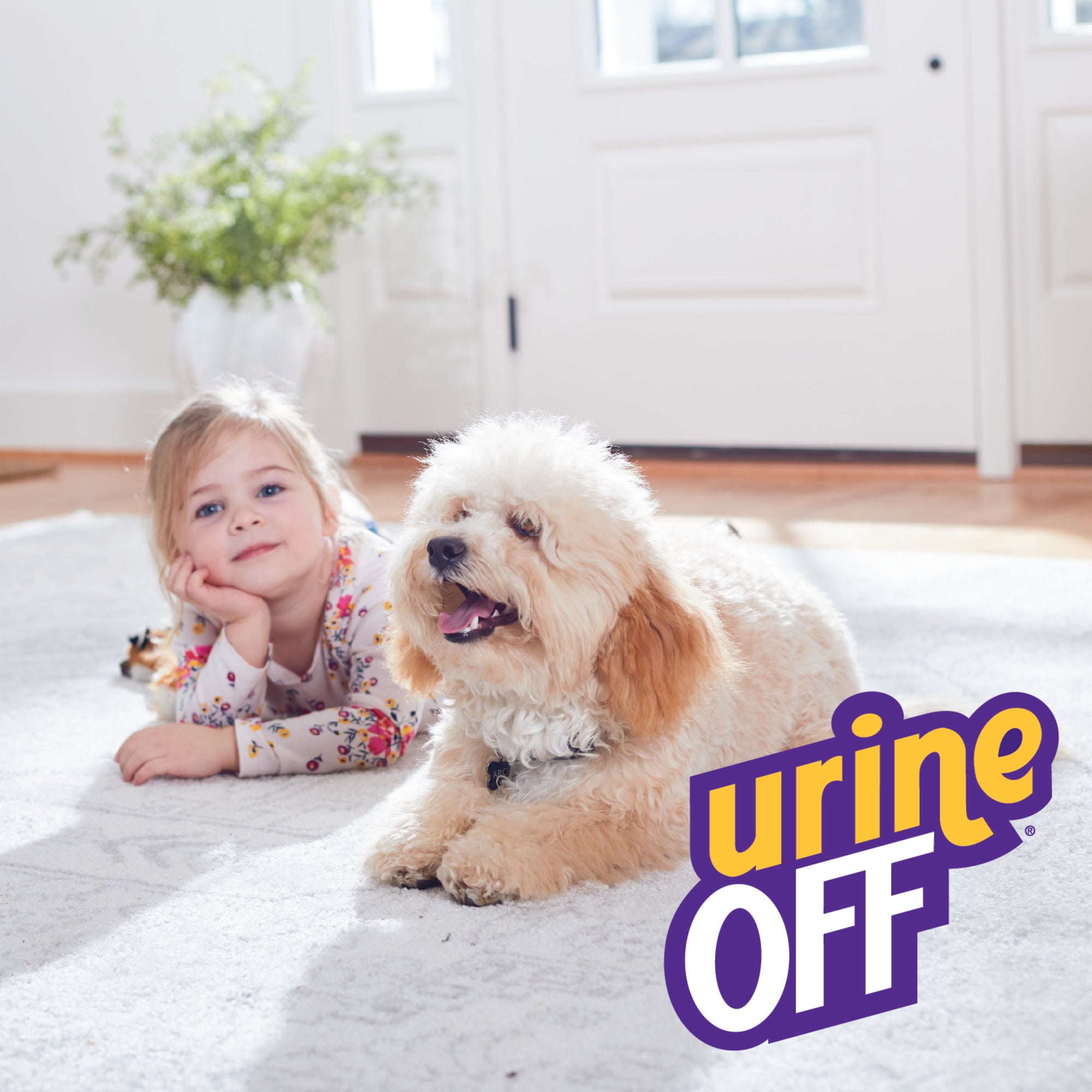Urine Off - Dog &amp; Puppy Formula - Henlo Pets