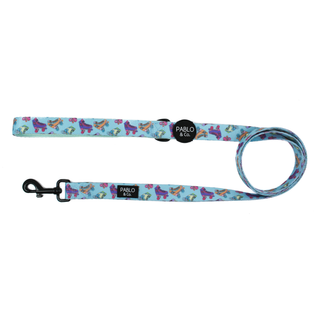 Pablo & Co Roller Skates Dog Leash