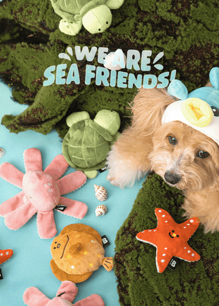 Bite Me Sea Friends Nose Work Plush Dog Toy | Henlo Pets