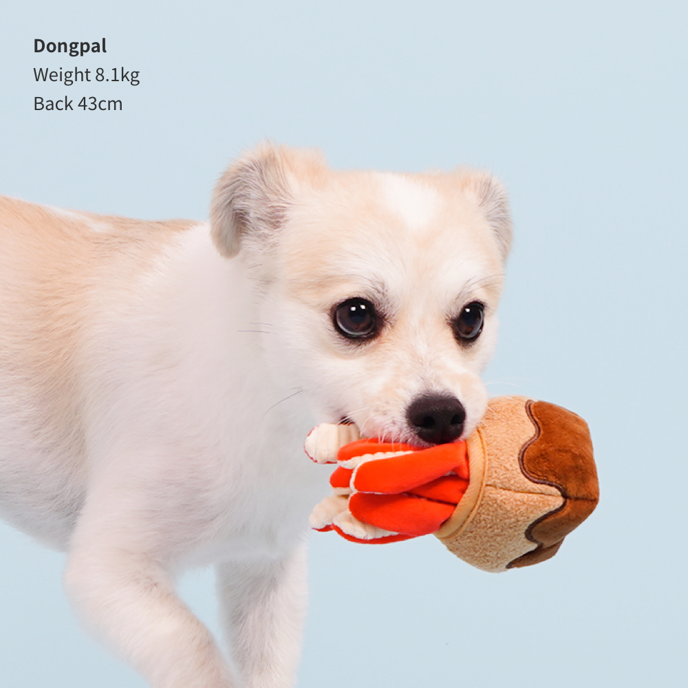 Bacon Takoyaki Catch 2-in-1 Toy - Henlo Pets