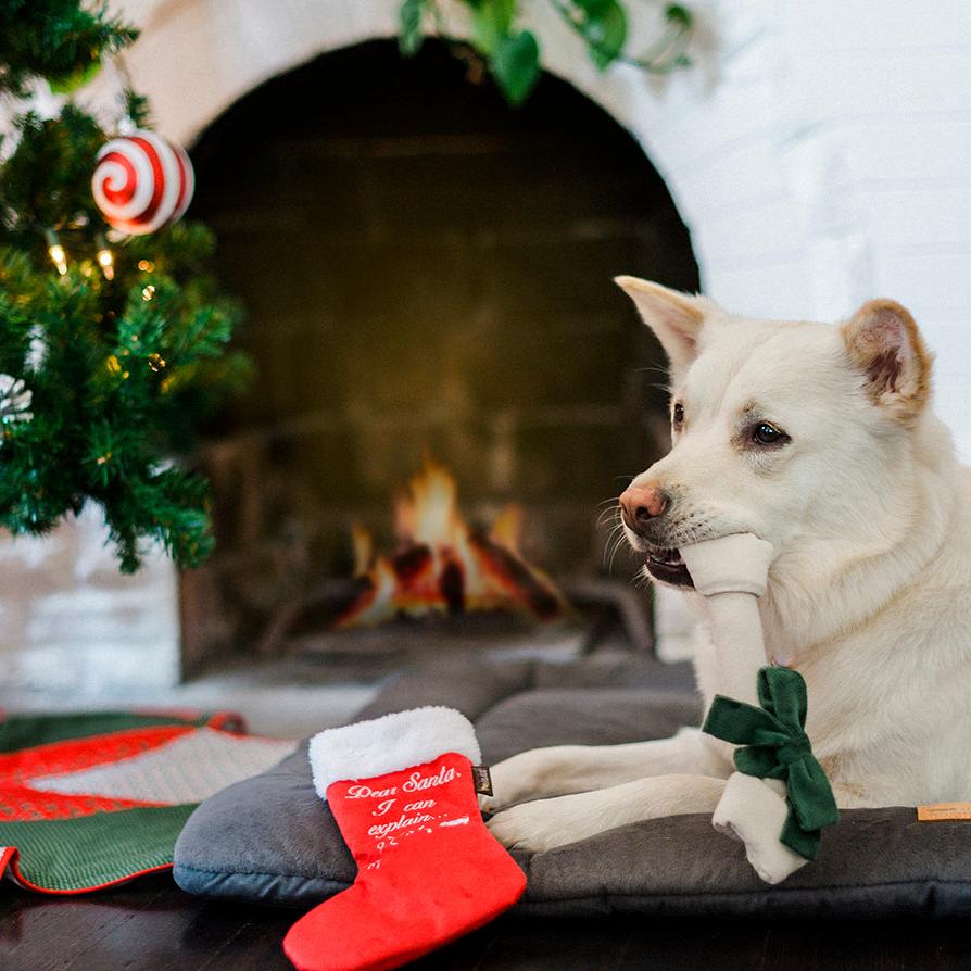 P.L.A.Y. Merry Woofmas Plush Dog Toy Collection - Henlo Pets