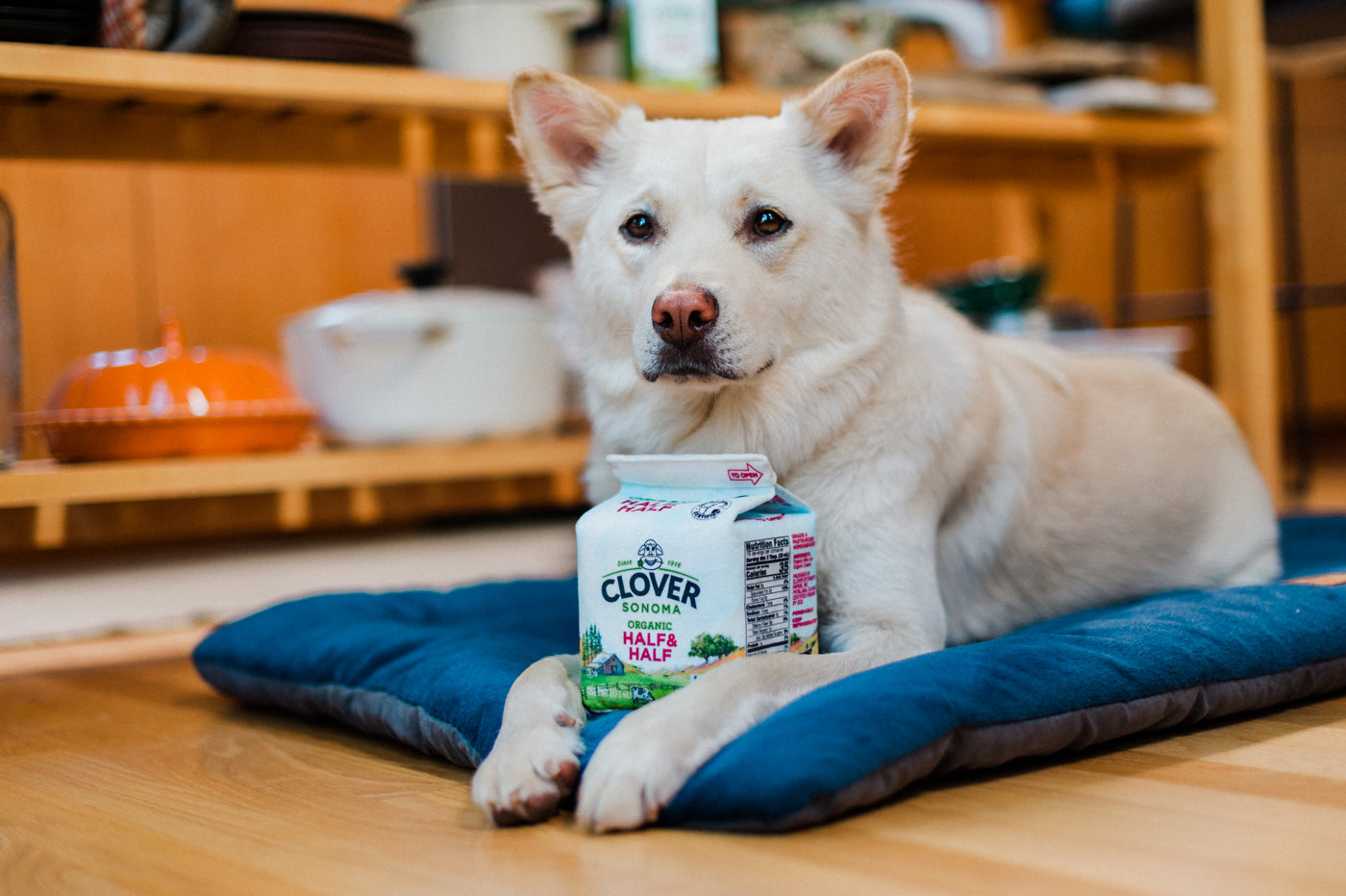 P.L.A.Y. x Clover Sonoma - Canine Milk Carton Toy - Henlo Pets