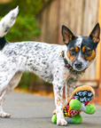 P.L.A.Y. 90s Classic Plush Dog Toy Collection