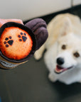 P.L.A.Y. - Pup Cup Cafe Doggo's Java - Henlo Pets