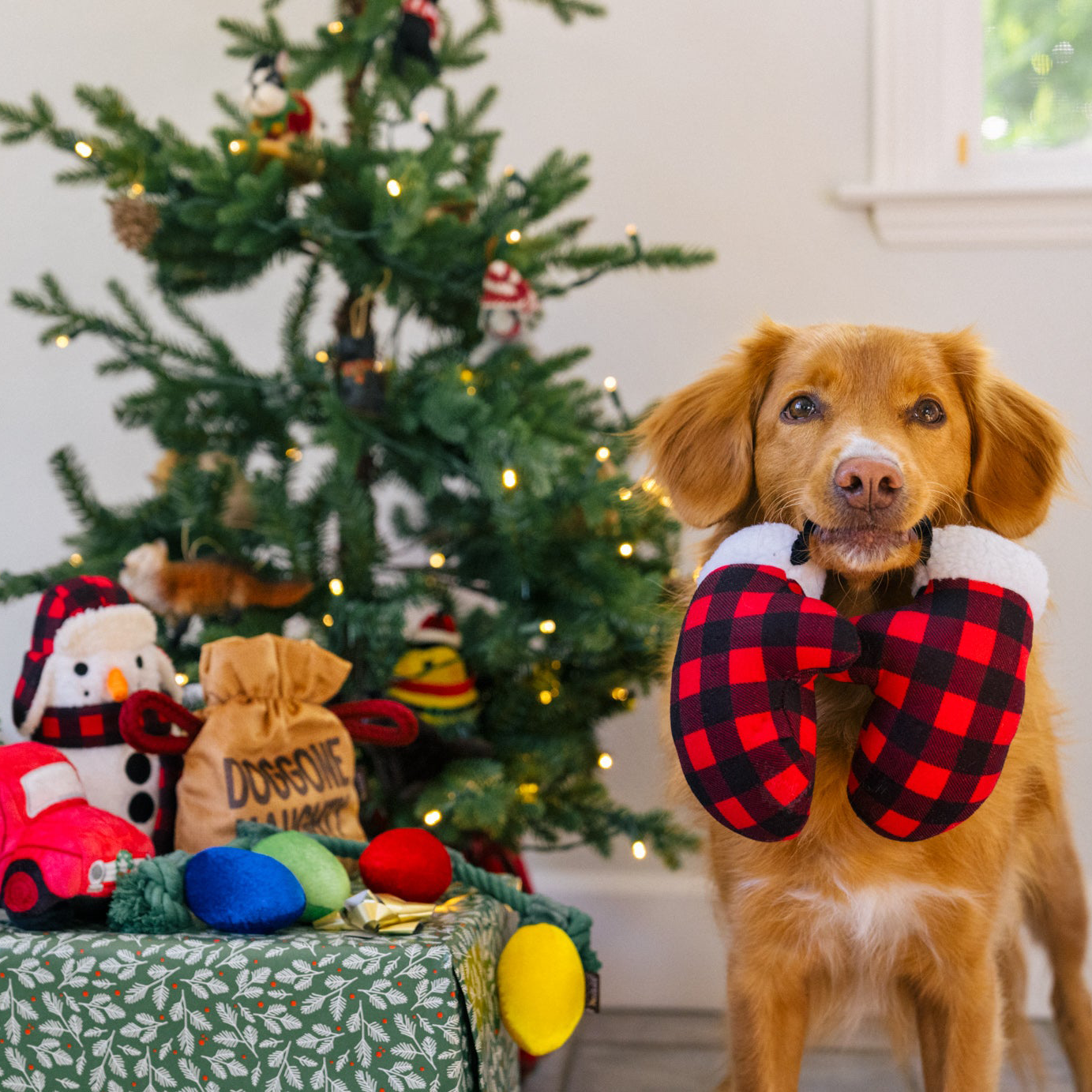 P.L.A.Y. Home for the Holidays - Paw Warmers - Henlo Pets