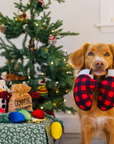 P.L.A.Y. Home for the Holidays - Paw Warmers - Henlo Pets