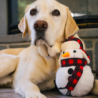 P.L.A.Y. Home for the Holidays - Blizzard Buddy | Henlo Pets