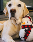 P.L.A.Y. Home for the Holidays - Blizzard Buddy - Henlo Pets