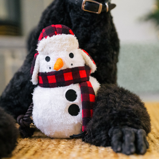 P.L.A.Y. Home for the Holidays - Blizzard Buddy | Henlo Pets