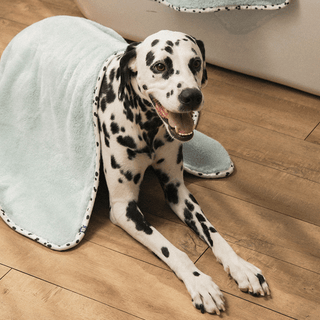 Bite Me x FINCA Dry Me Microfibre Towel Mint | Henlo Pets