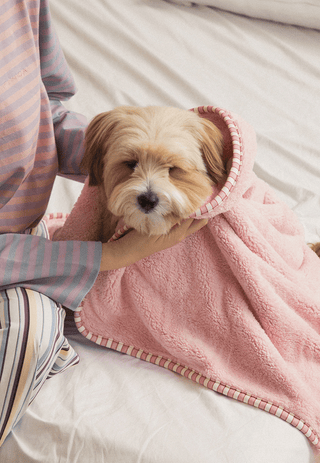 Bite Me x FINCA Dry Me Microfibre Towel Pink | Henlo Pets