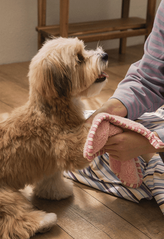 Bite Me x FINCA Dry Me Microfibre Towel | Henlo Pets