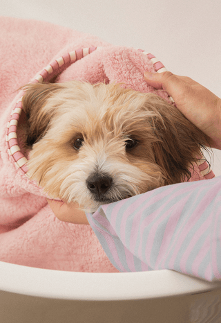 Bite Me x FINCA Dry Me Microfibre Towel | Henlo Pets