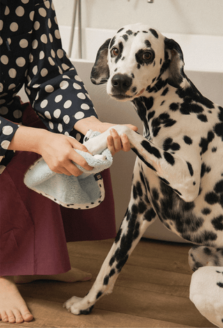 Bite Me x FINCA Dry Me Microfibre Towel | Henlo Pets