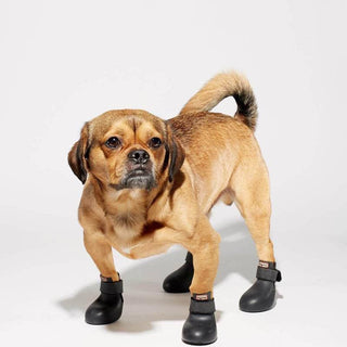 wagwear - WagWellies Boots Black - Henlo Pets