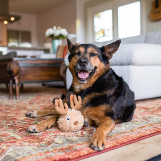 P.L.A.Y. - Jasper the Jackalope - Henlo Pets