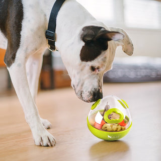 P.L.A.Y. Wobble Ball 2.0 Enrichment Dog Toy - Henlo Pets