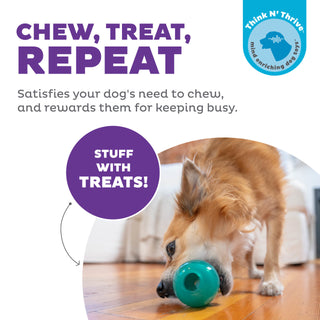 Outward Hound Double-Tuff Interactive Treat Stuffer Durable Dog Chew Toy - Henlo Pets