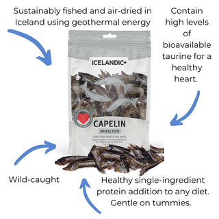 Icelandic+ Capelin Whole Fish Dog Treat - Henlo Pets