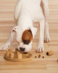 Nina Ottosson - Dog Smart Composite - Henlo Pets