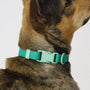 ABF Liberty Green Collar - Henlo Pets