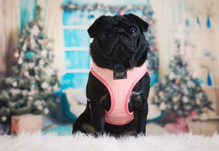 Sassy Woof Reversible Harness - Dolce Rose - Henlo Pets