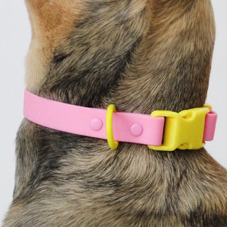 ABF Pink Lemonade Collar - Henlo Pets