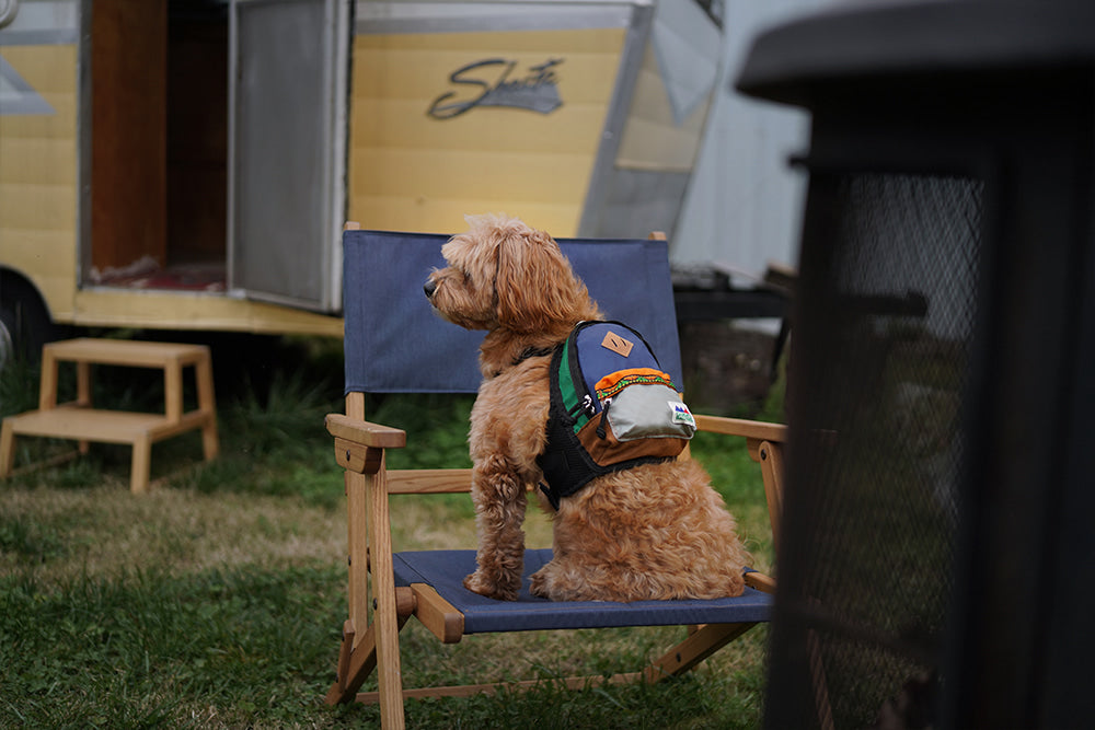 Charlie&#39;s Backyard - Outdoor Backpack Navy - Henlo Pets