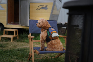 Charlie's Backyard - Outdoor Backpack Navy - Henlo Pets