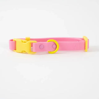 ABF Pink Lemonade Collar - Henlo Pets