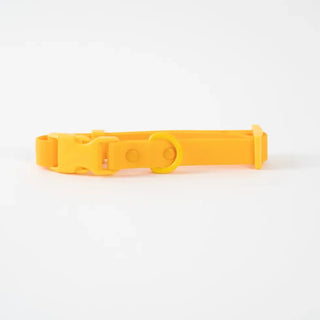 ABF Orange Mango Collar - Henlo Pets