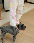ABF Pink Lemonade Collar - Henlo Pets