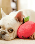 P.L.A.Y. Garden Fresh - Apple - Henlo Pets