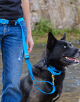 Dog + Bone - Martingale Collar Navy & Blue - Henlo Pets