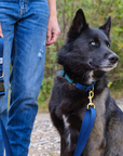 Dog + Bone - Martingale Collar Forest & Navy - Henlo Pets