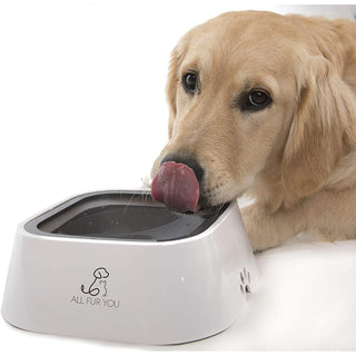 All Fur You - Anti Splash Dog Water Bowl - Henlo Pets