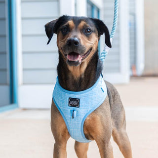 Sassy Woof Adjustable Harness - Blumond - Henlo Pets