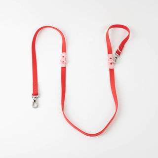 ABF Cherry Leash - Henlo Pets