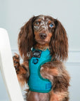 Sassy Woof Adjustable Harness - Napa [CLEARANCE] - Henlo Pets