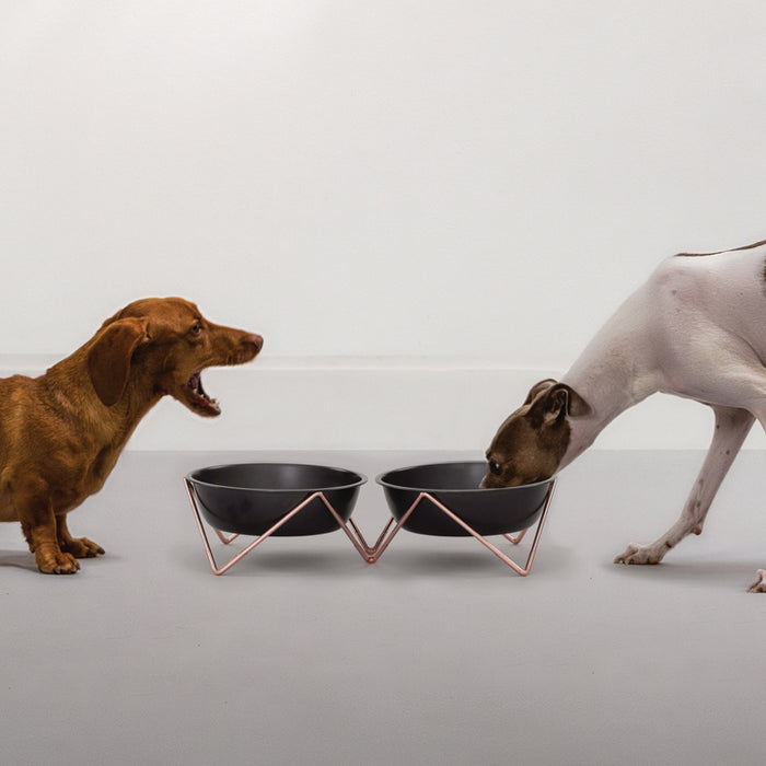 Bendo - &#39;WOOF&#39; Double Black Bowl on Copper Frame - Henlo Pets
